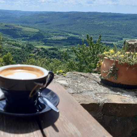 8-Hour Inner Istria Tour with Grožnjan, Motovun and Truffle Tasting