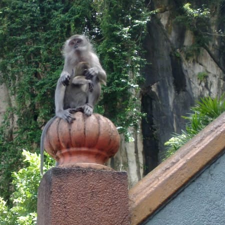 6-Hour Private Batu Caves and Genting Highland Tour with Skyway
