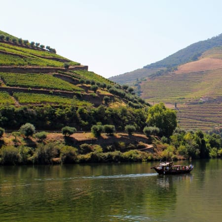 9-Hour Douro Valley Wine Tour from Porto with Lunch and River Cruise