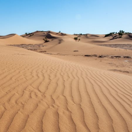 8-Day Morocco Adventure Tour with Sahara Camp and Atlantic Coast