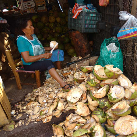 6-Hour Acapulco Attractions Tour with Fort San Diego and La Quebrada