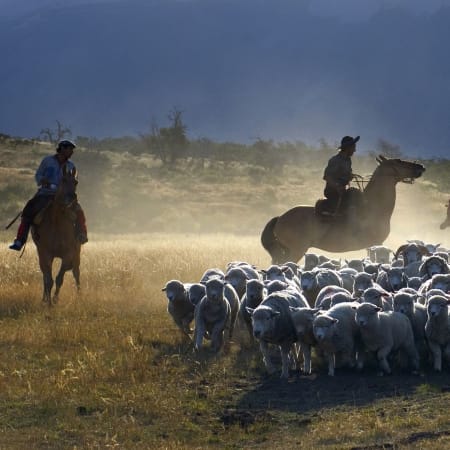6-Hour Estancia Nibepo Aike Ranch Tour from El Calafate with Lunch