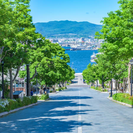 2-Hour Private Hakodate Heritage Tour with Historic Churches