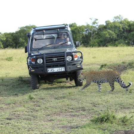4-Day Kruger National Park Safari from Johannesburg with Panorama Route