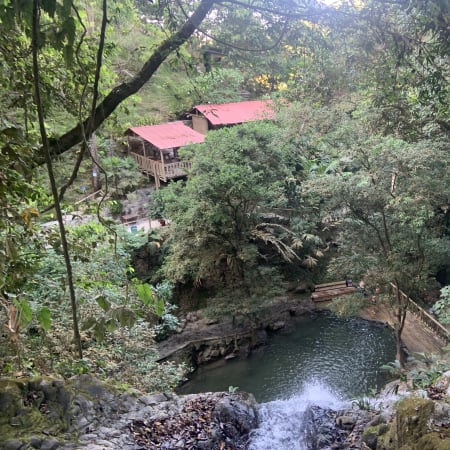 7-Hour Minca Coffee Tour with Marinka Waterfalls and Cocoa Experience