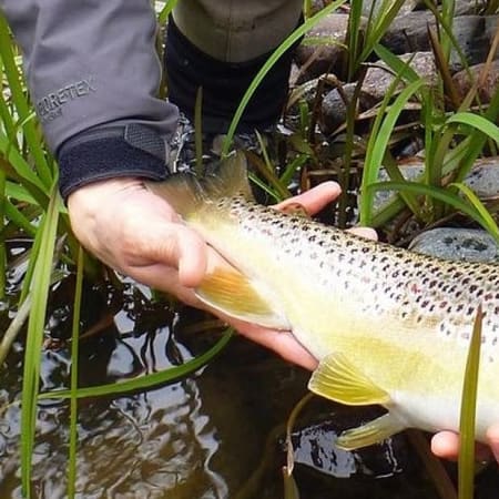 4-Hour Arctic Fishing Tour in Rovaniemi with Campfire BBQ