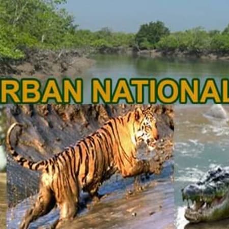 3-Day Sundarban National Park Tour with Boat Safari and Village Life