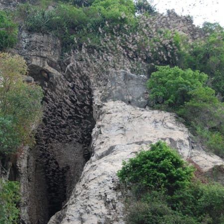 1-Day Battambang Tour with Phnom Banan and Phnom Sampeou