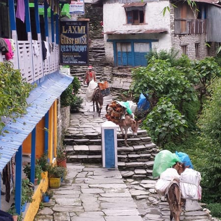 8-Day Poonhill Trek from Kathmandu with Annapurna Sunrise Views