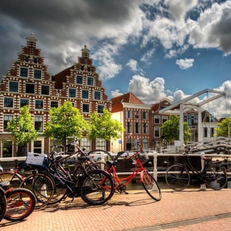 3-Hour Haarlem Walking Tour through Grote Markt and St. Bavo