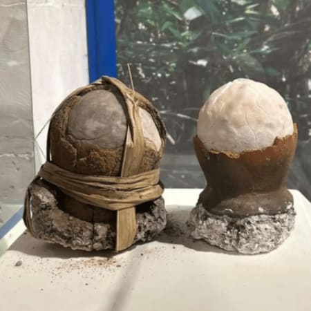8-Hour Bohol Countryside Tour with Tarsiers and Chocolate Hills