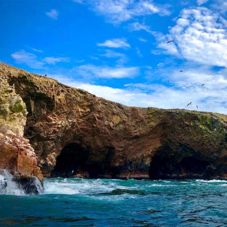 Tour de 1 día a Islas Ballestas y Paracas con fauna y playas