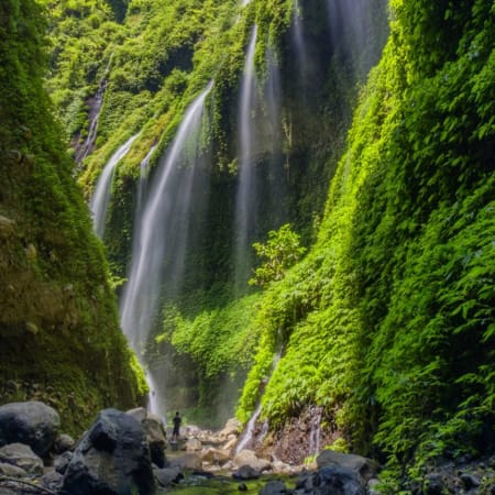 3-Day Mount Bromo and Mount Ijen Trekking Tour with Blue Flames