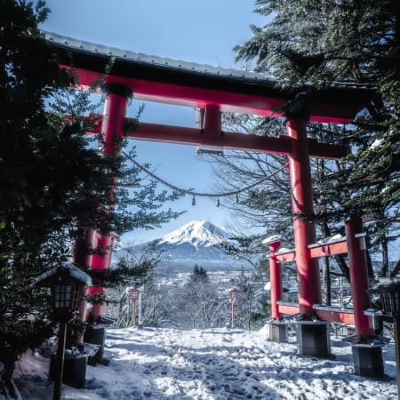 1-Day Mount Fuji Private Tour from Tokyo with Customizable Stops
