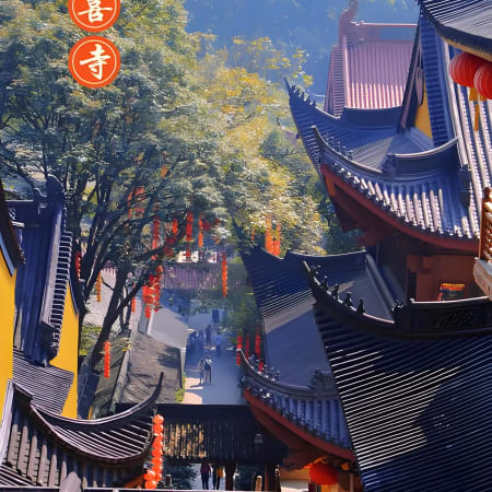 8-Hour Hangzhou Tea Hills Hiking Tour from Shanghai with Longjing