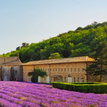 9-Hour Lavender Fields Tour of Provence with Valensole and Villages