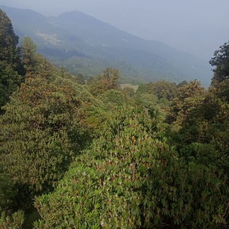 4-Day Chopta and Tungnath Trek from Haridwar with Ganga Aarti