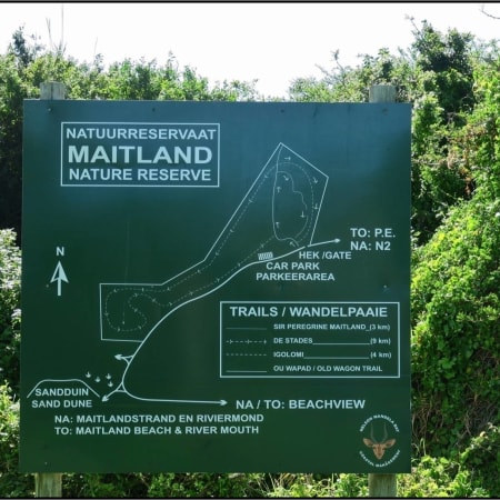 8-Hour Hike in Maitland Nature Reserve for Biodiversity and Birdlife