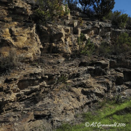 Full-Day Geology Road Tour in Western Cape via Bainskloof and Ceres