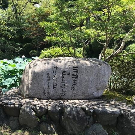 4-Hour Kamakura Walking Tour with Great Buddha and Komachi-dori