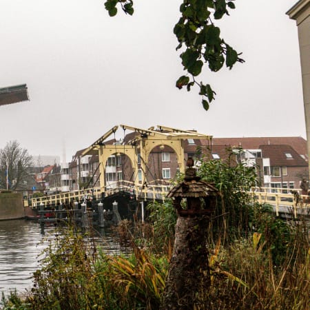 1-Hour Leiden Private Walking Tour with a Local
