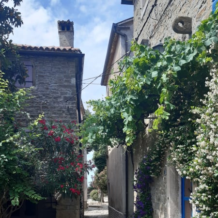 8-Hour Inner Istria Tour with Grožnjan, Motovun and Truffle Tasting
