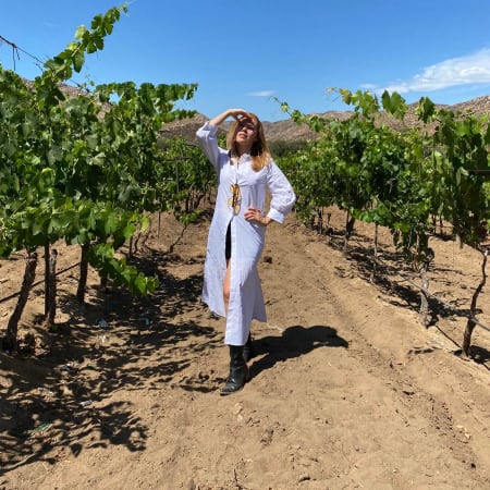 9-Hour Valle de Guadalupe Wine Tour with Tastings at Top Wineries