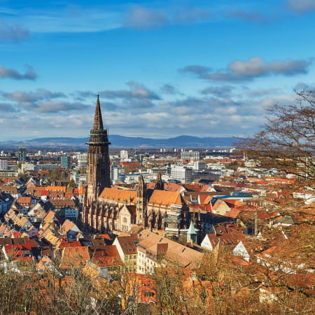 2-Hour Freiburg im Breisgau Private Walking Tour with a Local
