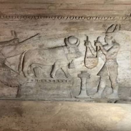 10-Day Private Egypt Safari and Antiquities Tour with Siwa Oasis
