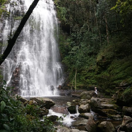 Tour de 3 horas a Los Tucanes con cascadas y senderos ecológicos