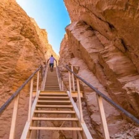1-Day Abu Simbel Temples Tour from Aswan with Egyptologist Guide