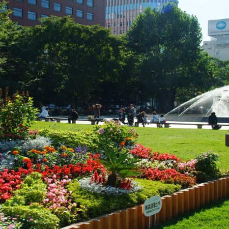 4-Hour Private Sapporo Tour with Hokkaido Shrine and Fish Market