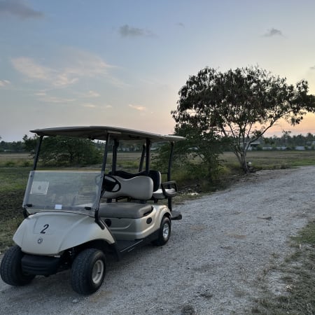 90-Minute Balik Pulau Buggy Ride through Paddy Fields to Malindo Beach