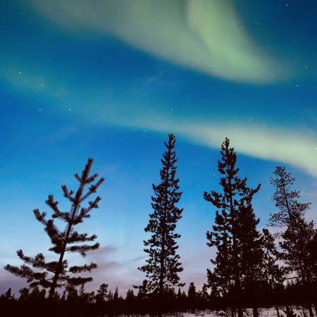 4-Day Murmansk Arctic Adventure with Teriberka and Aurora Hunting
