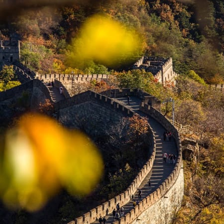 13-Day China Sightseeing Tour from Beijing to Shanghai with Pandas