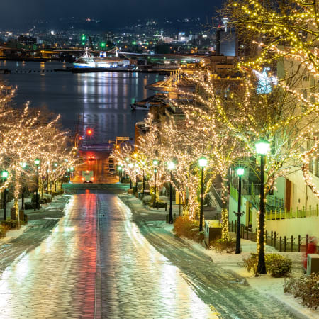 2-Hour Private Hakodate Heritage Tour with Historic Churches