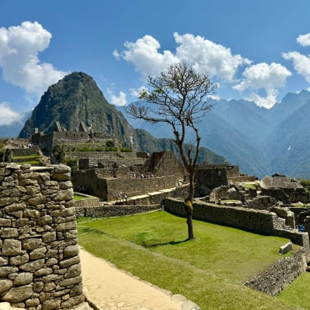 1-Day Machu Picchu Train Tour from Cusco with Guided Citadel Visit