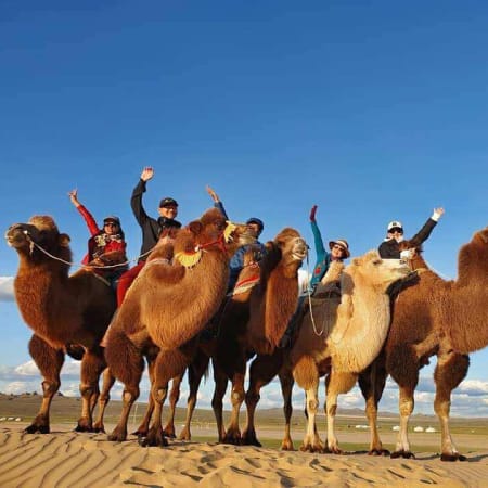 5-Day Mongolia Photography Tour with Wildlife and Nomadic Culture