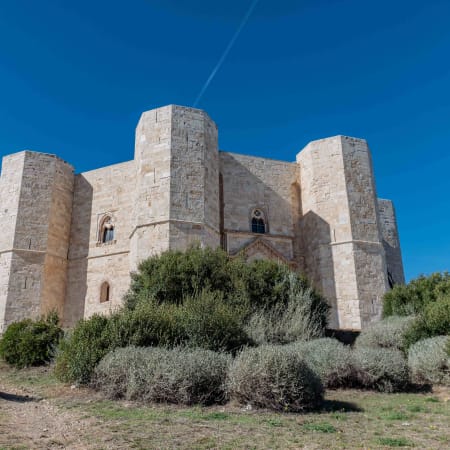 3-Hour Castel del Monte Tour from Trani with Guided Visit