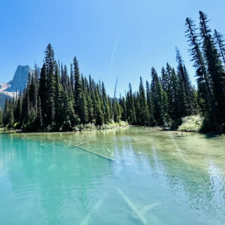 1-Day Banff and Yoho National Parks Tour with Lake Louise