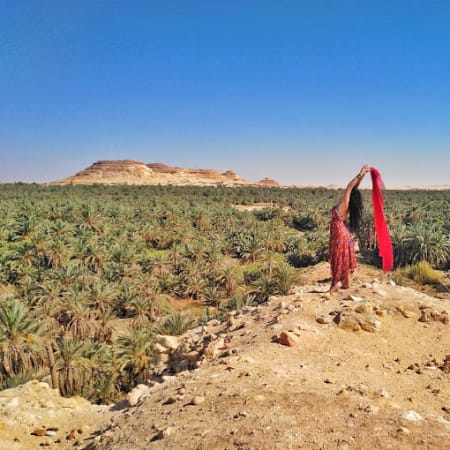 10-Day Private Egypt Safari and Antiquities Tour with Siwa Oasis