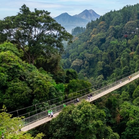 5-Day West Java Tour of Jakarta, Bogor and Bandung by Whoosh Train