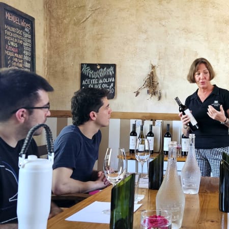 3-Day Mendoza Cycling Tour with Wine Country and Andes Rides