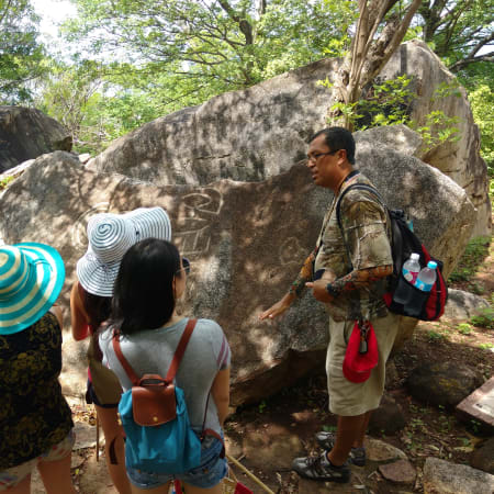 6-Hour Palma Sola Petroglyphs Tour with Mercado Municipal Visit