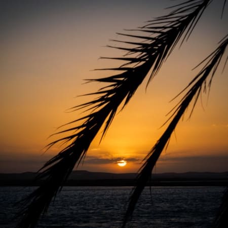 2-Day Siwa Oasis Tour from Alexandria with El Alamein and Shaly