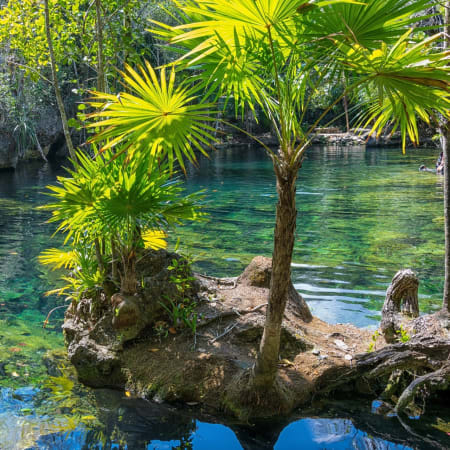 8-Hour Muyil Archaeological Site Tour from Tulum with Cenotes