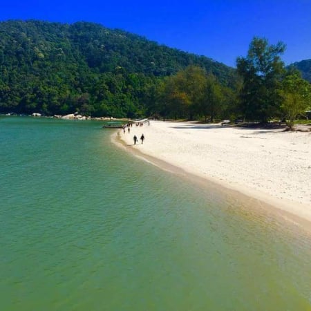 5-Hour Penang National Park Tour with Monkey Beach and Turtle Beach