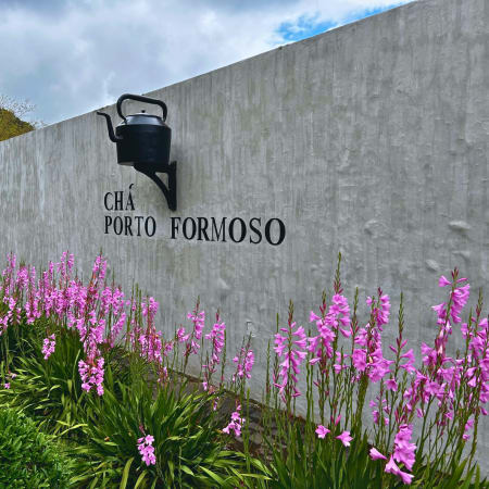 7-Hour São Miguel North Tour with Lagoa do Fogo and Tea Estates