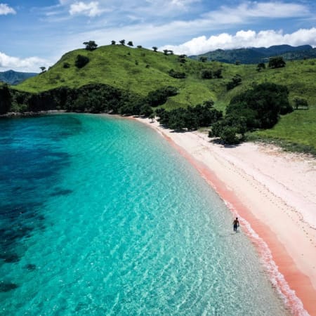 Full-Day Komodo National Park Tour with Padar and Manta Point
