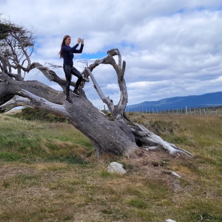6-Hour Spider Crab Route Tour from Ushuaia with Puerto Almanza Lunch